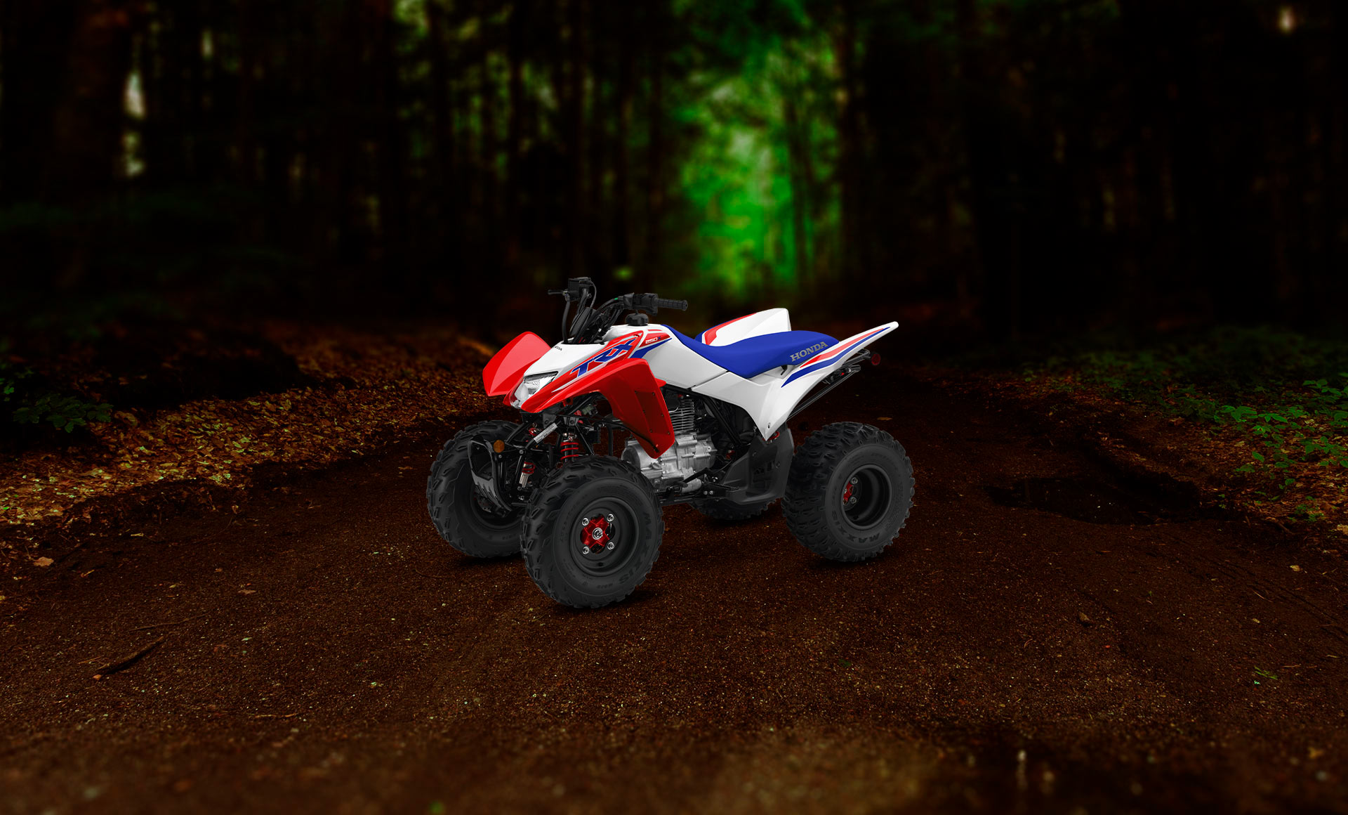 ibanner-TRX250X